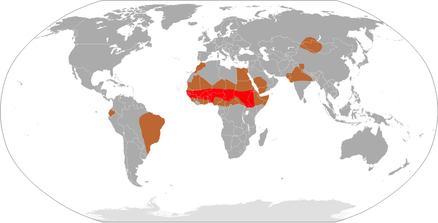 Map of meningitis belt (in red) and regions of high risk of epidemics (brown) all other regions may have lower incidence of outbreaks and sporadic cases (source: World Health Organization)   